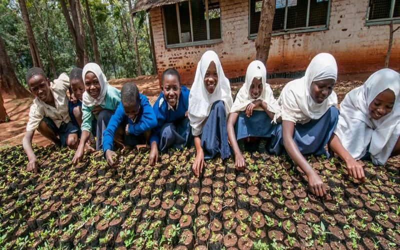 L’AICCRA, une nouvelle initiative sur l’accès aux informations climatiques et aux technologies agricoles intelligentes validées en Afrique lancée le 17 mai 2021