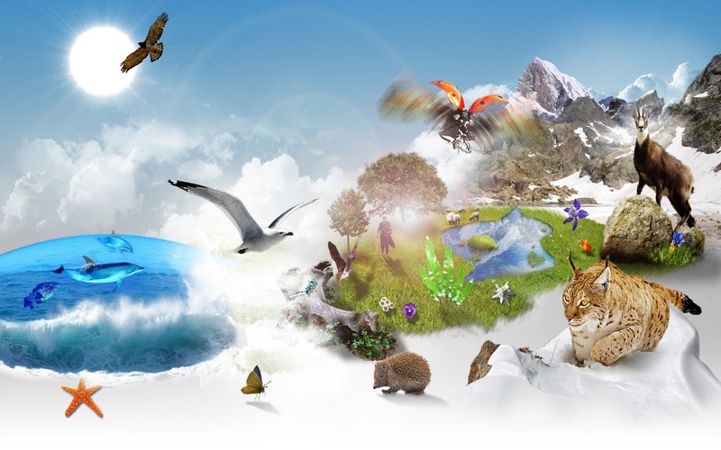 La Journée internationale de la biodiversité célébrée avec l’implication des communautés locales et peuples autochtones