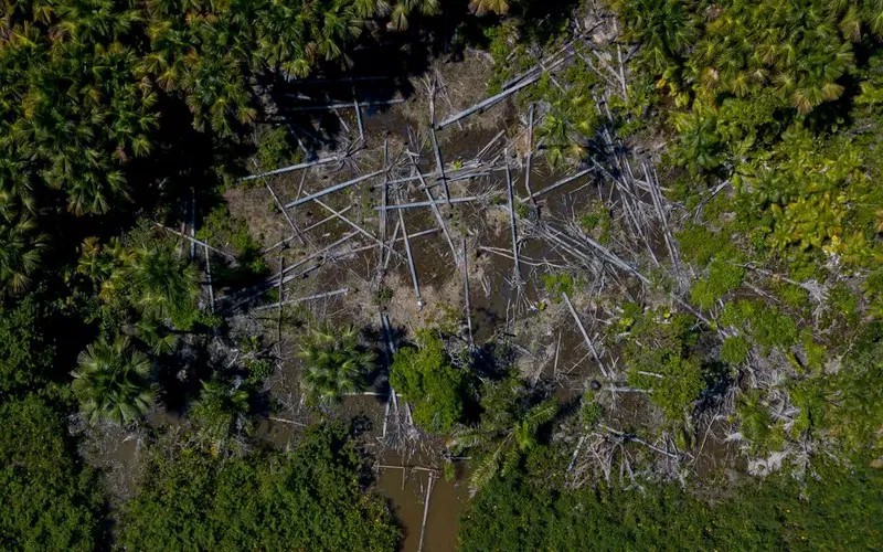 La déforestation a atteint un niveau record en avril 2021 en Amazonie (Brésil)