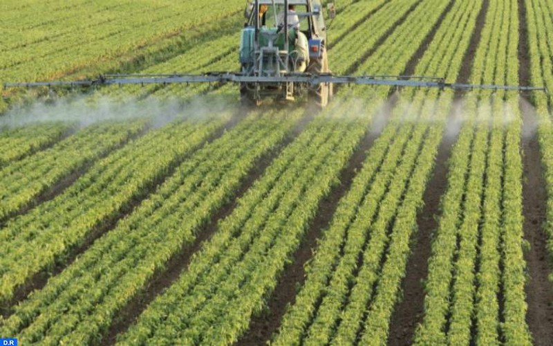 Le Maroc s’attend à une campagne agricole exceptionnelle