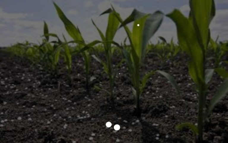 Une plateforme digitale interactive pour une fertilisation raisonnée des cultures baptisée FertiTogo voit le jour au Togo