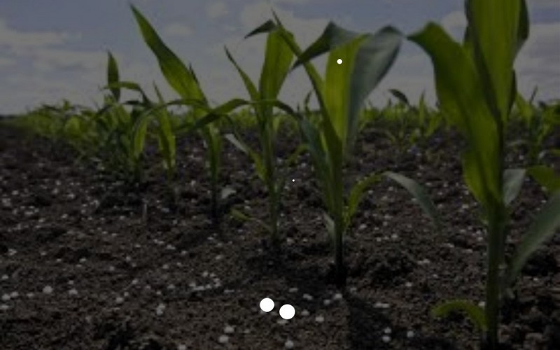 Une plateforme digitale interactive pour une fertilisation raisonnée des cultures baptisée FertiTogo voit le jour au Togo