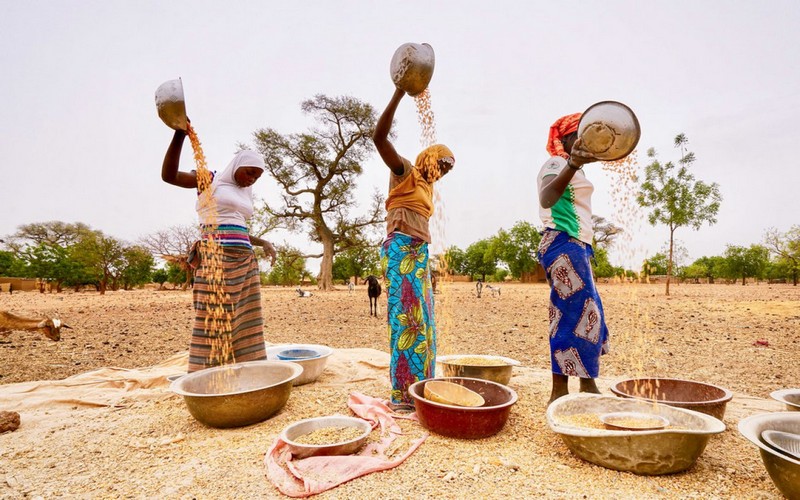 L’insécurité alimentaire menace un demi-milliard d’Africains, alertent les chercheurs africains