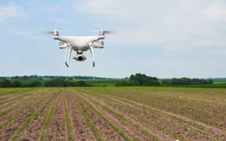 Maroc : Le rôle des nouvelles technologies dans le secteur agricole au menu du webinaire organisé par impact Lab