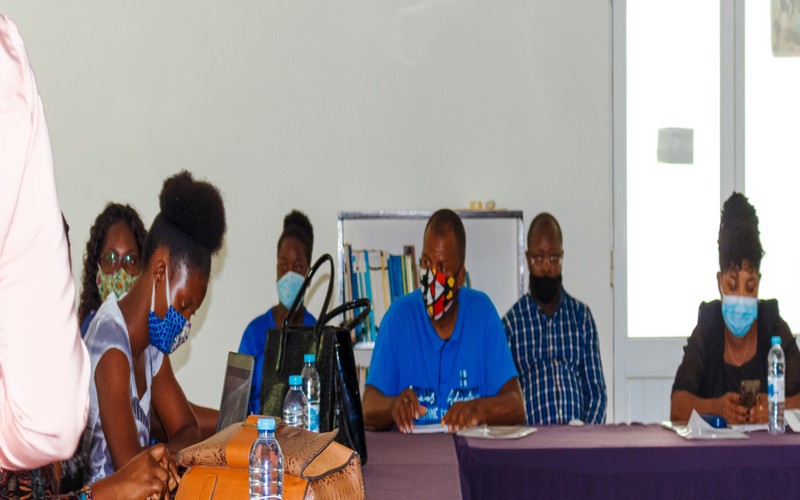 Sao Tome et Principe : Les acteurs du secteur eau et climat capacités sur le genre