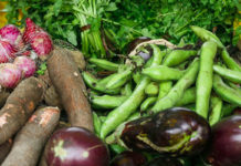C’est confirmé : manger bio est meilleur pour la santé