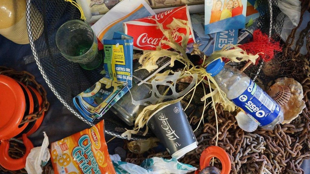 FRANCE:16 kg de plastiques retrouvés dans le ventre d’une baleine à bec