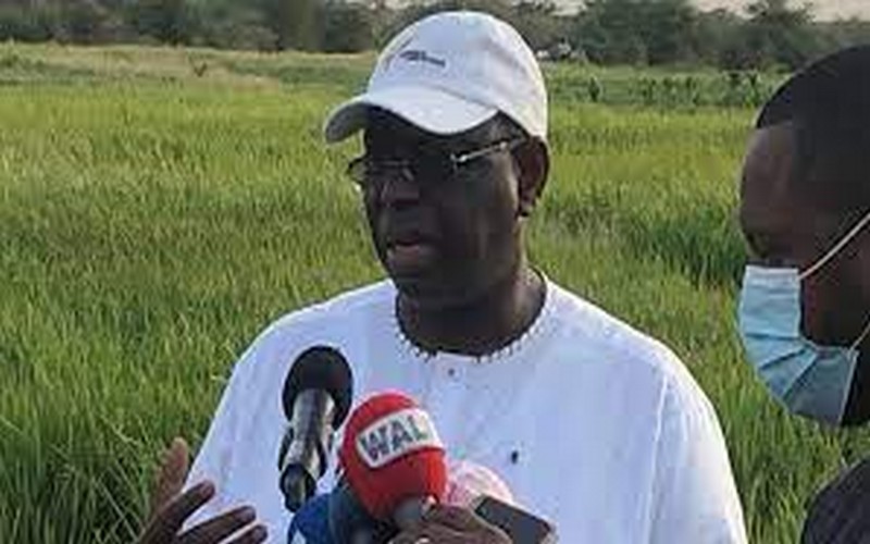 En visite dans le casier rizicole de Fanaye, Macky Sall le cite en exemple