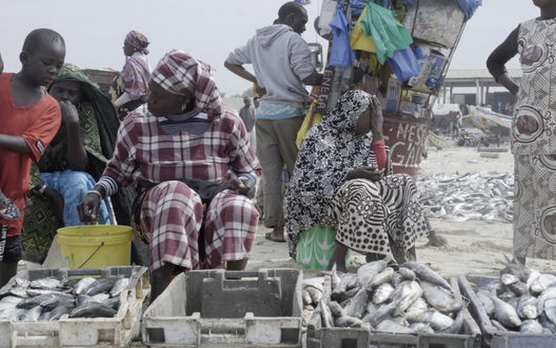 De grandes entreprises européennes complices de l’insécurité alimentaire en Afrique de l’Ouest
