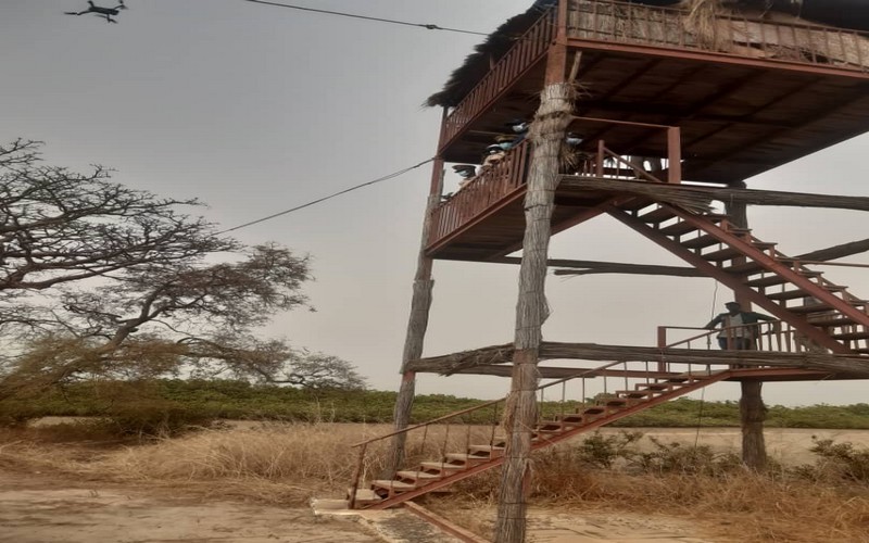 JME au Sénégal : Le ministre de l’Environnement promet l’érection d’un poste de garde au niveau du mirador de l’AMP de Bambou
