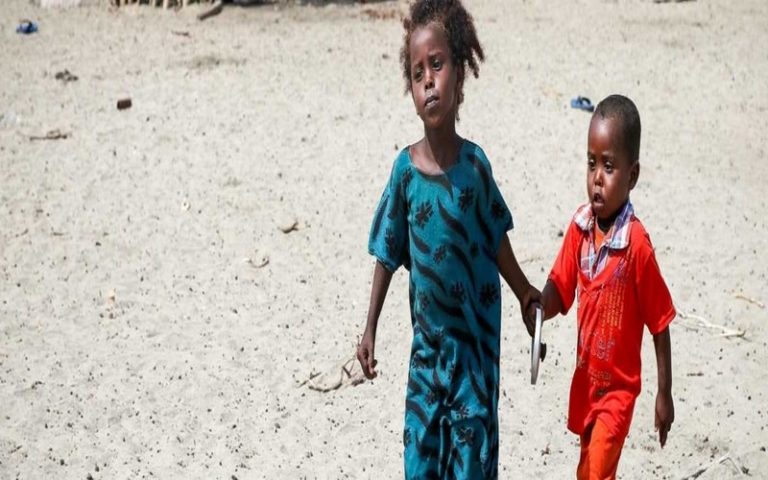 Journée mondiale contre la faim : l&rsquo;insécurité alimentaire aiguë, l’alerte rouge