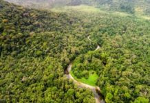 Plaidoyer pour une « compensation équitable » en contrepartie de la sauvegarde des forêts en RDC