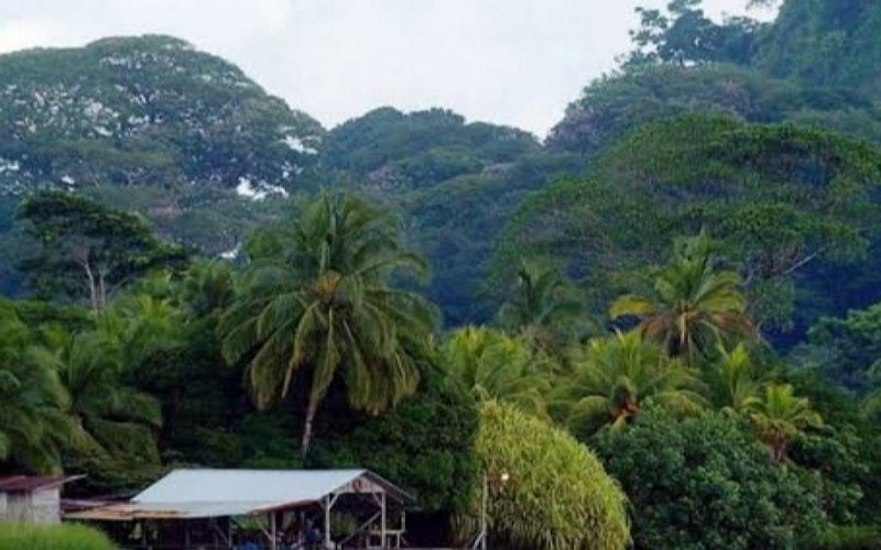 La Norvège octroie 17 millions de dollars au Gabon « pour avoir réduit les émissions liées aux forêts au niveau national »