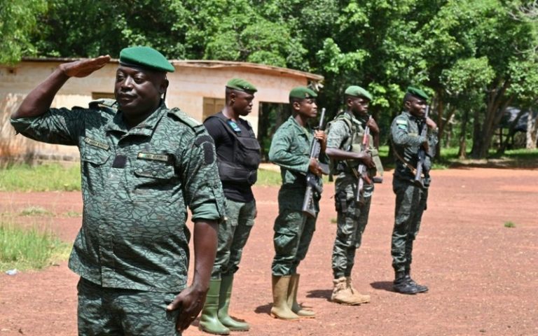 La forêt de la Téné, ultime rempart contre la déforestation en Côte d’Ivoire