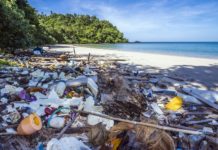 Sommet ministériel de Paris (France) : La question du plastique au centre des échanges