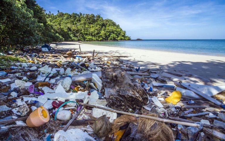 L’autre danger qui menace la planète : les déchets plastiques à usage unique