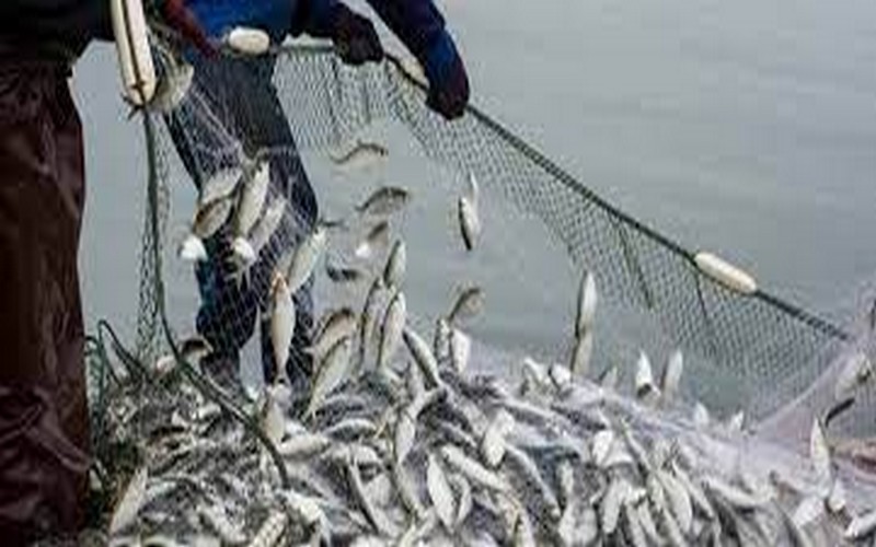 Sénégal : Joal accueille la cérémonie de lancement d’une campagne de sensibilisation en faveur d’une gestion transparente des ressources halieutiques