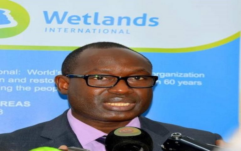 Sénégal : Ibrahima Thiam plaide pour la mise en place d’une stratégie nationale de restauration des écosystèmes de mangroves
