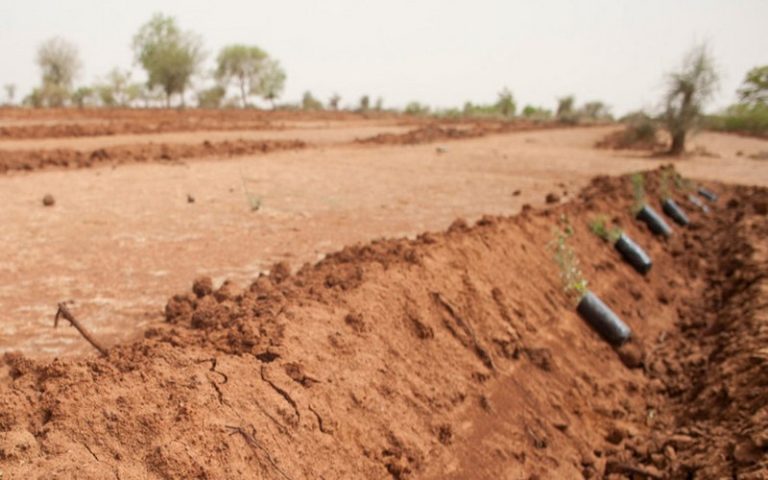 Une coopération internationale accrue est nécessaire pour endiguer la dégradation des terres, indique Volkan Bozkir