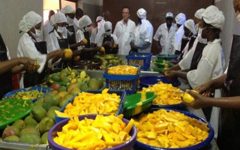 50 jeunes et femmes Sénégalais formés à l’école de la transformation agro-alimentaire
