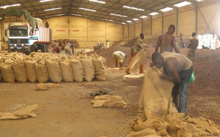 Côte d&rsquo;Ivoire : les clés du succès des filières agricoles
