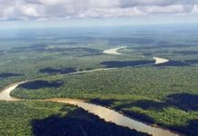 De la COP 22 à la COP 26 : le Fonds Bleu pour le Bassin du Congo, « un enjeu africain et planétaire »