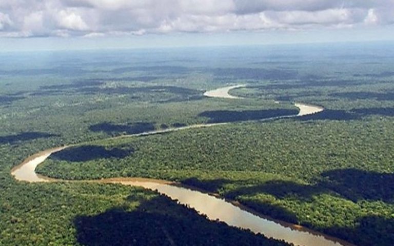 Semaine africaine du climat : L’ONG WWF et la CEEAC s’allient pour valoriser le « capital naturel » du Bassin du Congo