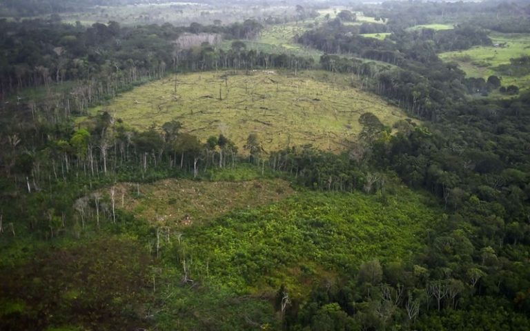 Innovation : La NASA met au point un système d’alerte sur le déboisement des forêts tropicales