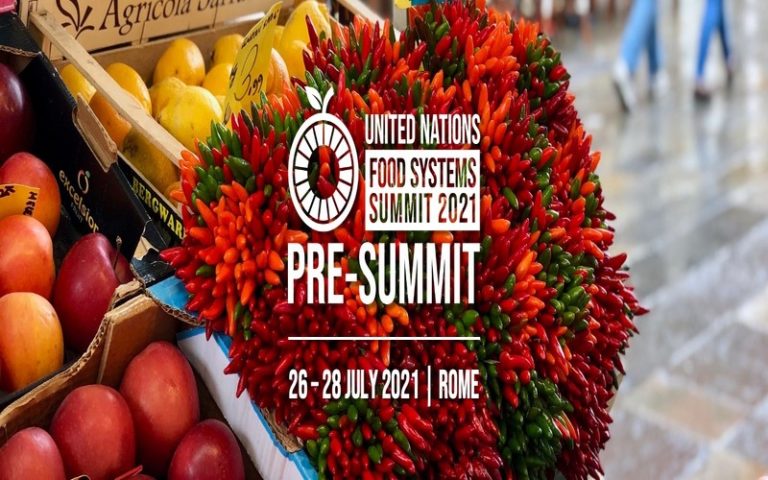 L’Italie accueille, cette semaine, le pré-sommet sur les systèmes alimentaires