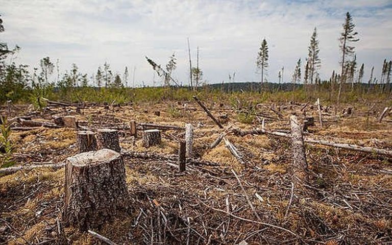 La RDC et l’UNESCO invitées à publier les documents relatifs à la décision d’annuler les blocs pétroliers