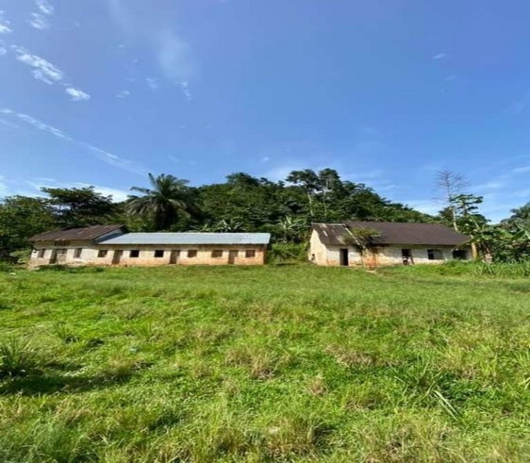 La rénovation de l’école de Dimonika, située en plein cœur de la forêt du Congo, annoncée