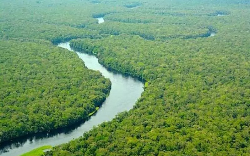 RDC : Le Parc national de la Salonga retiré de la liste du patrimoine mondial en péril