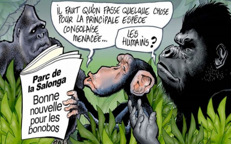 RDC : le parc de la Salonga sauvé ? L’arbre ne doit pas cacher la forêt