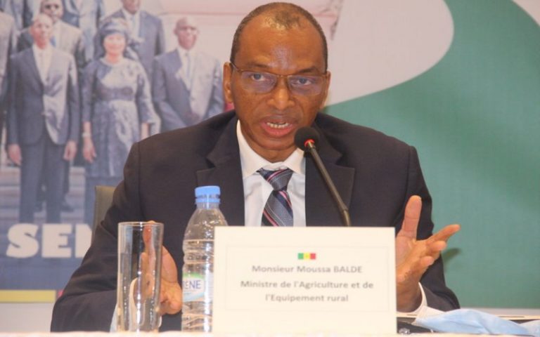 Résilience des populations rurales : Le ministre Sénégalais de l’Agriculture lance le programme SD3C G5 Sahel
