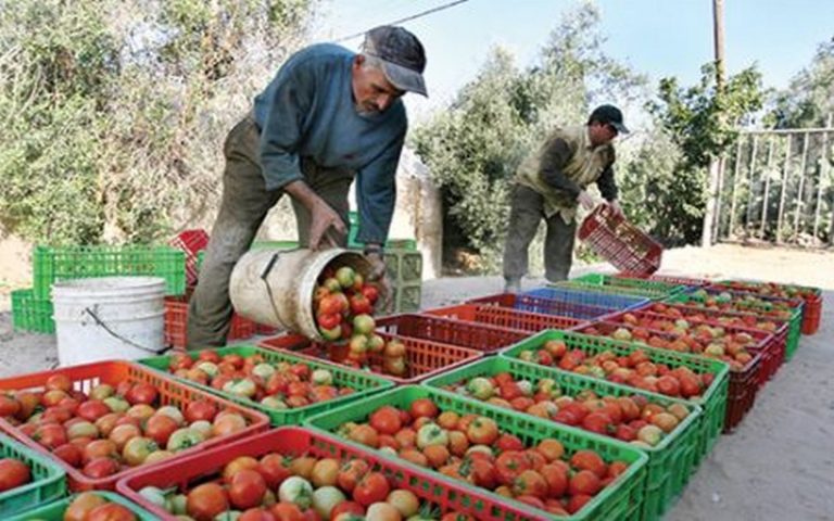 Vers la révision de l’accord UE-Maroc sur les fruits et légumes