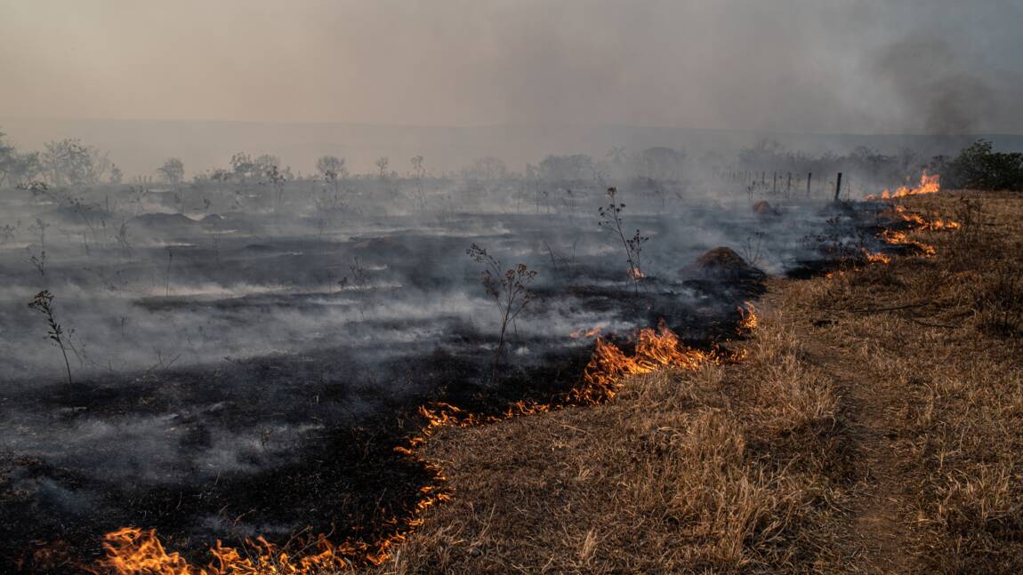 « Jour du dépassement » : l’humanité a déjà épuisé ses ressources biologiques annuelles