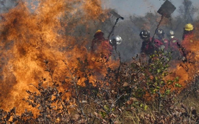 La Bolivie perd 749 000 hectares de végétation, ravagés par les flammes en 2021