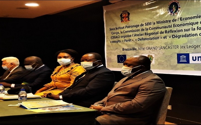 La déforestation vue sous un autre angle par la CEEAC