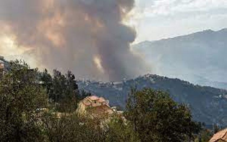 Les feux de forêts, en majorité d’« origine criminelle » en voie d&rsquo;extinction en Algérie