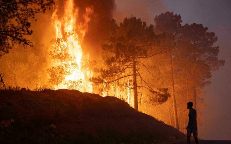 Maroc : Le nord du royaume chérifien sous le diktat des feux de forêt