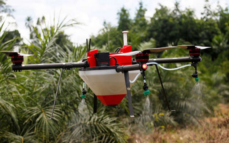 Côte d’Ivoire, Sénégal, Kenya : « Une véritable révolution agricole pointe à l’horizon »