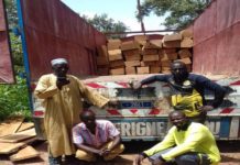 Coupe illicite de bois au Sénégal : Les trafiquants pris en flagrant délit, la mairie de Sansamba pointée du doigt
