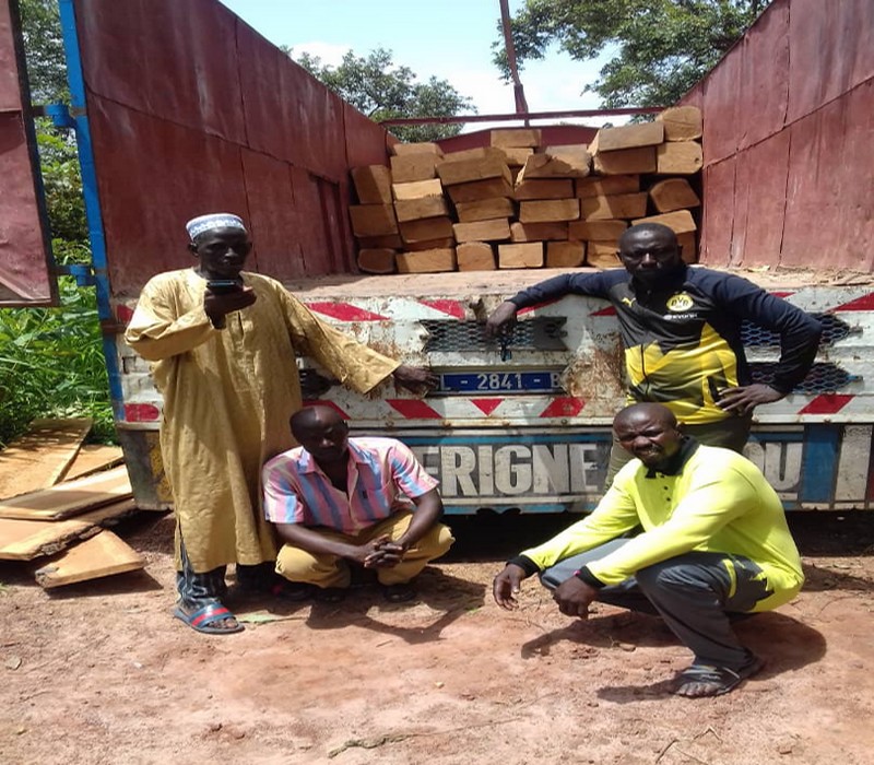 Coupe illicite de bois au Sénégal : Les trafiquants pris en flagrant délit, la mairie de Sansamba pointée du doigt
