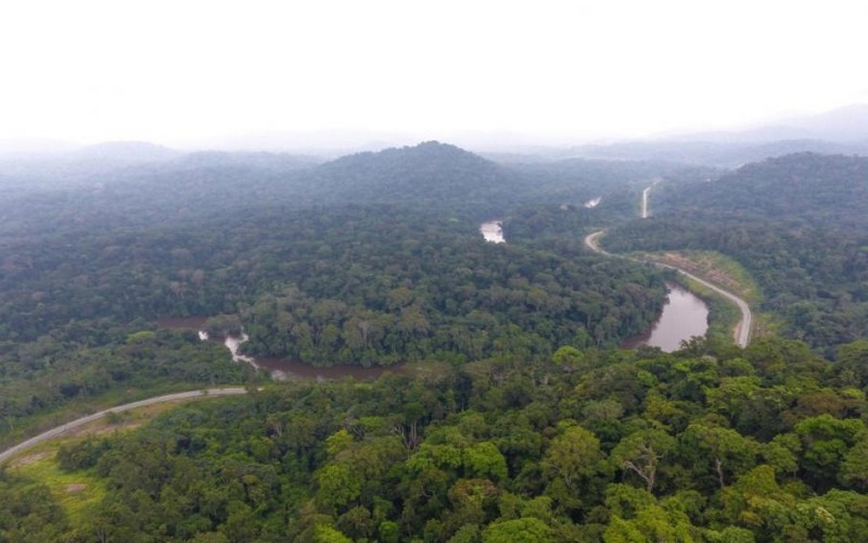 Evaluer et financer le stockage de CO2 : la forêt gabonaise en exemple