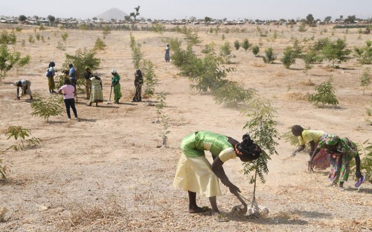 La Semaine africaine du climat a pour objectif de créer un élan régional avant la COP 26