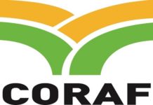 Afrique-Agriculture : Le CORAF reste optimiste malgré le retrait de l’USAID et prévient une stratégie de diversification pour 2025