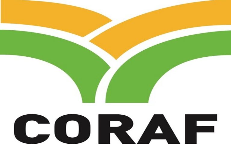 Afrique-Agriculture : Le CORAF reste optimiste malgré le retrait de l’USAID et prévient une stratégie de diversification pour 2025