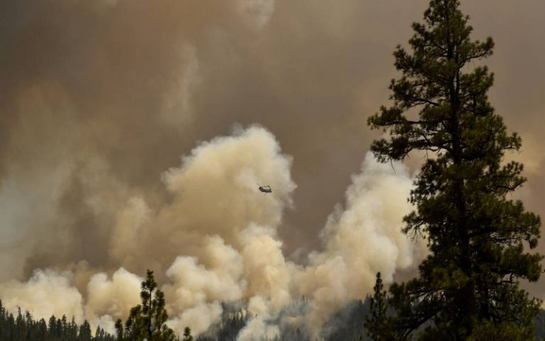 Pour Copernicus, les feux de l’été ont causé des émissions record de CO2