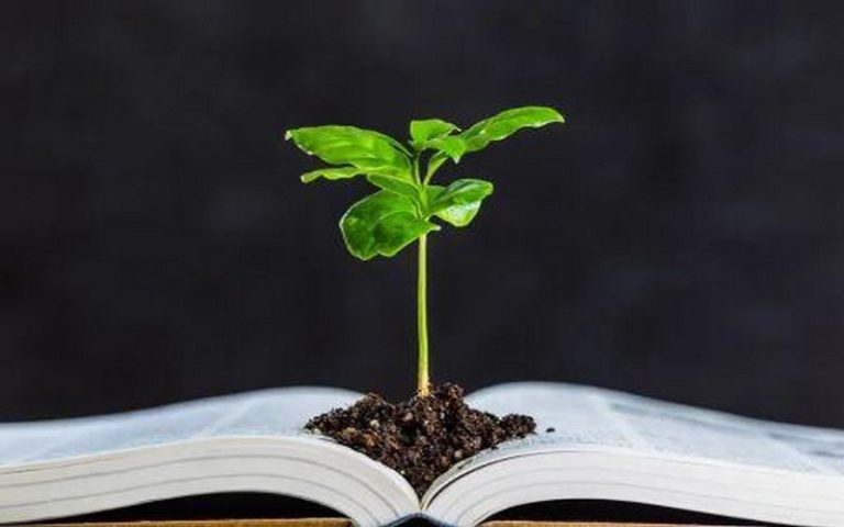 Pour les écologistes, la justice climatique est primordiale pour garantir un avenir résilient au climat