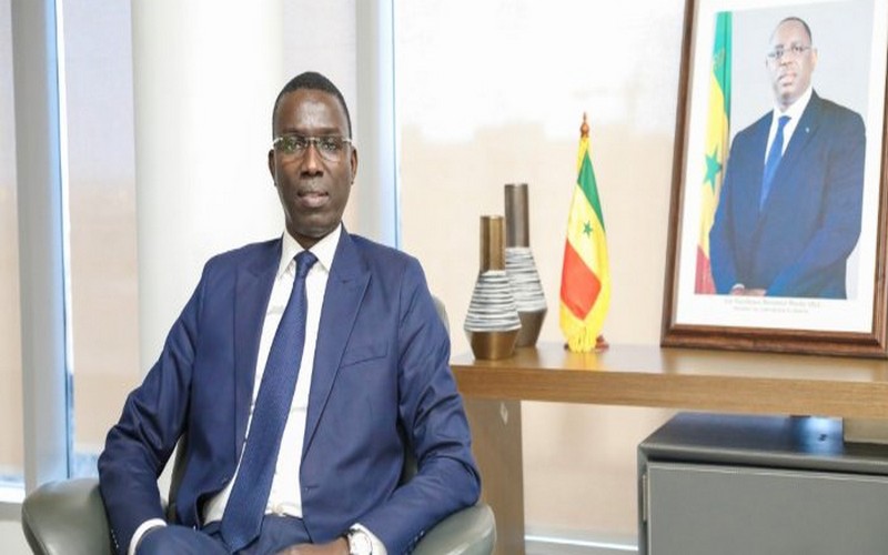 Sénégal : Le centre de formation professionnelle en aviculture opérationnel dès la rentrée prochaine